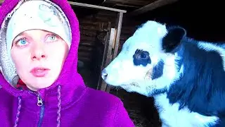 ВАТРУШКА ОСТАЁТСЯ. ТЕКУЩИЕ ДЕЛА. ИЗ ГОРОДА В ДЕРЕВНЮ 653 серия