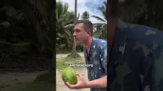 А ВЫ ЗНАЛИ, ЧТО В АМЕРИКЕ   🫣 