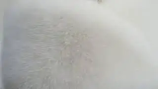 Меховая шапка 