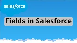 Tutorial 8 : Fields in Salesforce | Difference between Standard and Custom Field | Custom Fields