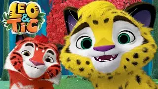 Leo and Tig 🦁 Best Stories 🔴 LIVE 🔴 Funny Family Good Animated Cartoon for Kids