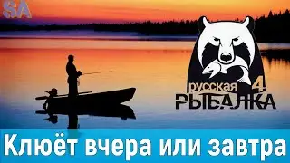 Ловим леща. Клёва нет. Настоящая Русская Рыбалка 4