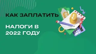 Как заполнить налоговую декларацию в 2022 году | 3-НДФЛ