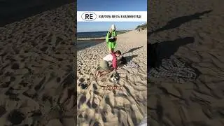 Молодсть она такая) 