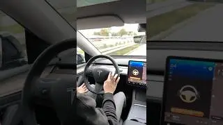 Я ПРОТЕСТИРОВАЛ АВТОПИЛОТ ТЕСЛЫ…🗿🛞🚘
