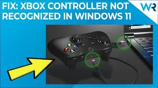 Xbox controller not recognized in Windows 11? Try these fixes!