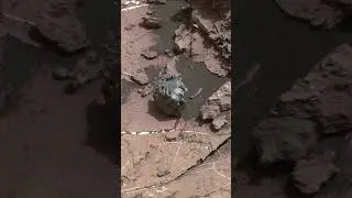 Strange Meteorite found on mars by NASA's curiosity rover | Maitreya the Tinkerer Image credit: NASA