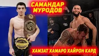 Самандар Муродов тамрин бо дасти шикаста | Хамзат Чимаев боз хамаро хайрон кард | Прогнози Дос Аньос
