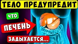 Тело предупреждает о проблемах с ПЕЧЕНЬЮ! 14 признаков, НЕ Пропусти...