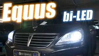 Меняем линзы на премиальном корейце Hyundai Equus