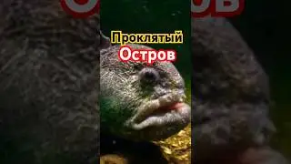 Проклятый остров Пальмира! СМОТРИТЕ ПОЛНОЕ ВИДЕО! 