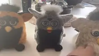 Koala Furby bear Furby and pumpkin Furby￼