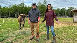 THIS is How It ALL BEGINS | Growing Our OWN FOOD at Our OFF GRID HOMESTEAD