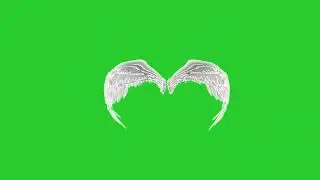 White Angel Wings Green Screen | free green screen, angel, wing, chroma key, 3d animation