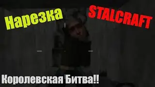 Stalcraft Нарезка королевской битвы |