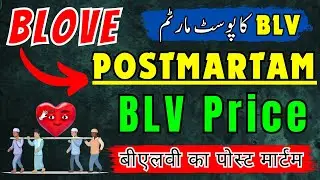 Blove Postmartam |  blv price | Blv Launch ho ga ya nai