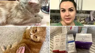 Влог/Хочу всех утеплить/Покупки Pharmacosmetica