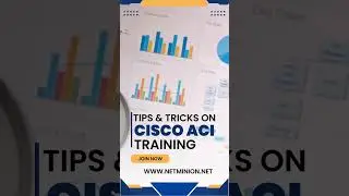 #netminion