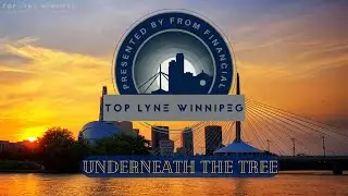 Top Lyne Winnipeg - Underneath The Tree