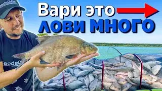 РЫБАЛКА НА ФИДЕР!  80 КГ РЫБЫ ЗА СУТКИ! ЗАБРОДИВШАЯ КУКУРУЗА!