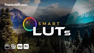 Smart LUTs for Final Cut Pro, Premiere Pro, After Effects and Motion