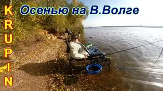 Рыбалка-многодневка осенью на В. Волге. Новый день. Поклёвывает некрупная бель.