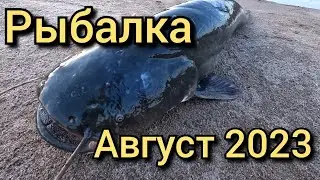 Рыбалка 1 Августа на  крупного  сома на реке.Это полный писец!Нашёл логово где стоит этот монстр.