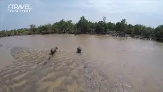 Saadani Safari Lodge - Tanzania | TPG