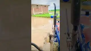 #shortsvideo