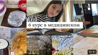 Влог  6 курс в медицинском. Готовлю и делюсь мыслями об аккреде, госах и учёбе