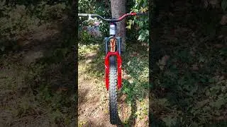 Single crown DH bike build!