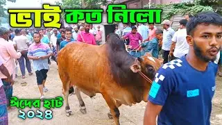 Bhai koto Nilo 2024 || Sirajganj Gas Line Gorur haat 2024 Part-43 || Qurbani Cow price in Bangladesh