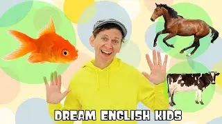 This is a Fish - This is not a Fish Grammar Song | Simple Songs With Matt | Dream English Kids