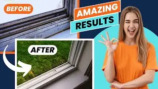 How To Restore Aluminum Window Frames With These Easy Tips