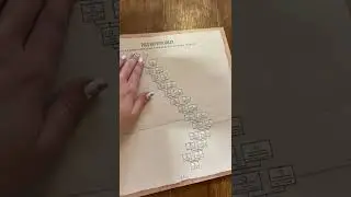 Обзор родословной книги