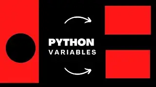 Deep Dive into Python Variables ! 