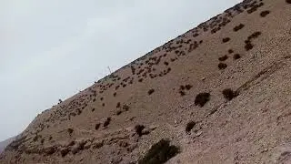 VID 20220712 153344