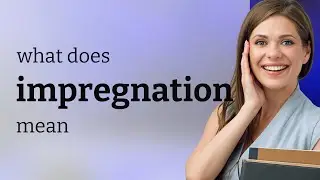 Impregnation • IMPREGNATION definition