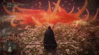 Elden Ring SL1 - 11 - I AM MALENIA