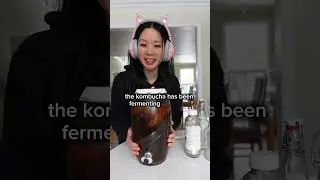Make your own kombucha 