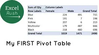 What is a Pivot Table and how to make a Pivot Table