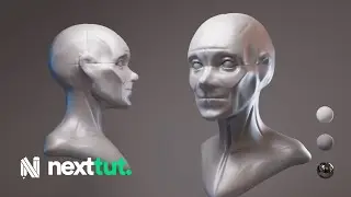 Zbrush Sculpting | Base Female Face Forms