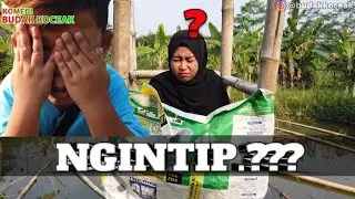 Ngintip | Komedi Budak Koceak