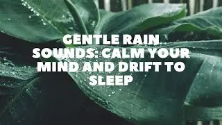 Gentle Rain Sounds: Calm Your Mind and Drift to Sleep Light Rain | Sleep therapy | Soothing Music