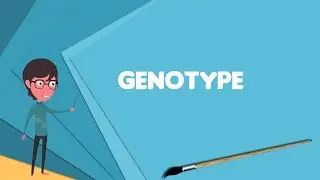 What is Genotype? Explain Genotype, Define Genotype, Meaning of Genotype