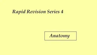 Anatomy Rapid Revision Series 4