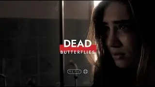 DEAD BUTTERFLIES | Cinematic Music Video | Fuji X-T3