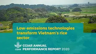 Low-emission technologies transform Vietnam’s rice sector