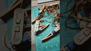 Testing Robot Parts #arduino