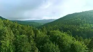Футаж для видеомонтажа #32. [Природа, лес, вид с воздуха]